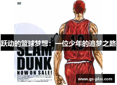 跃动的篮球梦想：一位少年的追梦之路